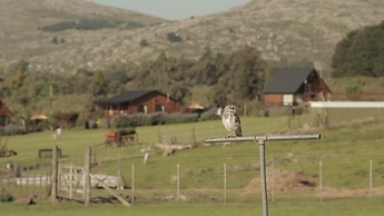 Cabañas Valle de los Ciervos