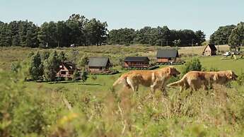 Cabañas Valle de los Ciervos