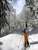 Bergsteiger-Hotel Grüner Hut