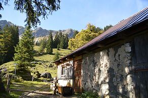 Bergsteiger-Hotel Grüner Hut