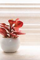 Borne Suites TI by MallorcaSuites