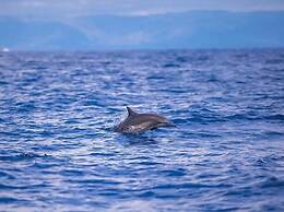 Villa Umi Panglao Resort