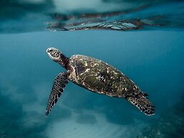 Villa Umi Panglao Resort