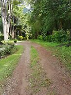 Phanom Bencha Mountain Resort