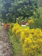 Phanom Bencha Mountain Resort