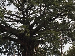 Atlantic Lumley Hotel