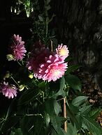 Ugurlubey Butik Dag Oteli