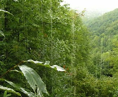 Ugurlubey Butik Dag Oteli