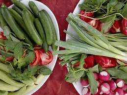 The Grand Meshmosh Hotel