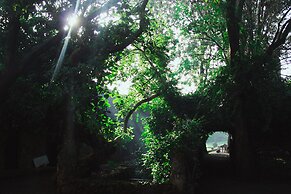 Kuriftu Resort & spa Lake Tana
