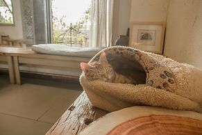 Zen Tea House Seven Stars Park