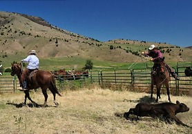 Wilson Ranches Retreat