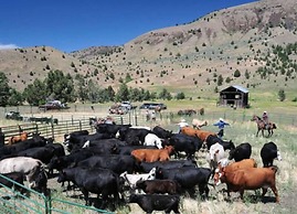 Wilson Ranches Retreat