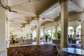 Tropicals of Palm Beach