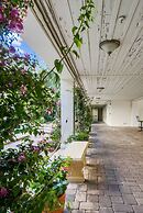 Tropicals of Palm Beach