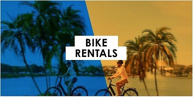 Tropicals of Palm Beach