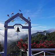 Alishan Tea Garden