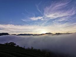 Alishan Tea Garden