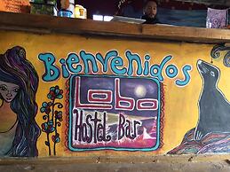 Lobo Hostel Bar