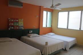 Hotel Green Monkey - Hostel