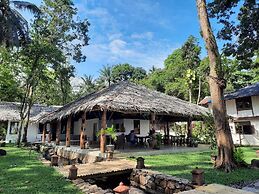 Murex Manado Dive Resort