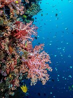 Murex Manado Dive Resort