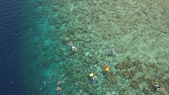 Murex Manado Dive Resort