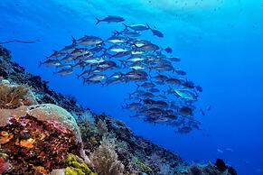 Murex Manado Dive Resort