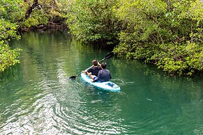 Murex Manado Dive Resort