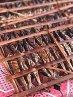 Murex Manado Dive Resort