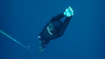 Murex Manado Dive Resort