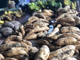 Murex Manado Dive Resort