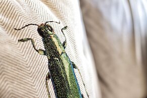 Chezmoihomes Duplex Cathedral