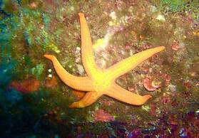 Casa Del Sole Chambre d'hôtes de Charme