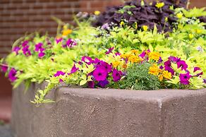 Mount Peyton Resort and Conference Centre