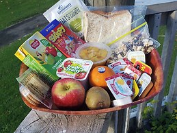 Waitomo Village Chalets Home of Kiwipaka