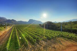 GRANMONTE Wine Cottage