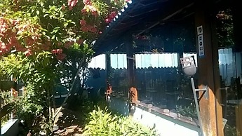 Pousada Telhado Azul