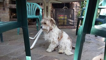 El Colibri Cabañas de la Naturaleza