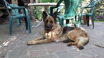 El Colibri Cabañas de la Naturaleza