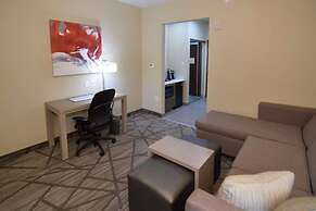 Comfort Inn & Suites Houston I-45 North - IAH