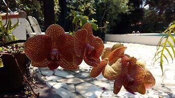 Pousada Alicia Búzios