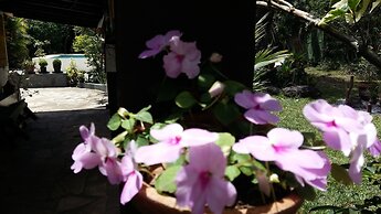 Pousada Alicia Búzios