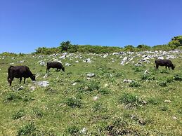 Nature Resort in Shimanto