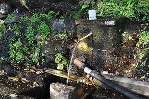 Nature Resort in Shimanto