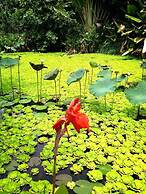 Baan Huay Namrin