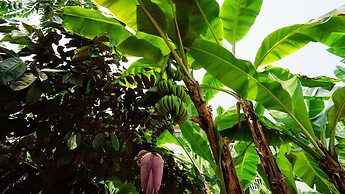 The Family Kingdom Resort