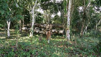 Nakoosi Eco Lodge & Backpackers