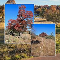 Breezy Hills Cottages