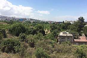 Damask Rose Lebanese Guest House